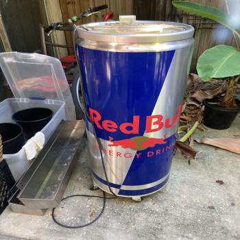 Red Bull fridge/cooler 