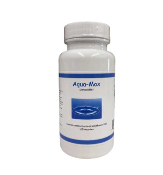 Aqua Mox Amoxicillin - 250mg 100 Capsules