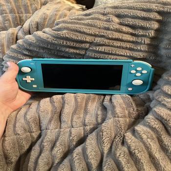 Nintendo switch lite with case