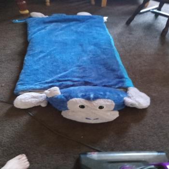 i have a kids blue sleeping bag with a animal face