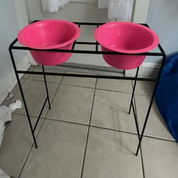 dog food bowls and stand 