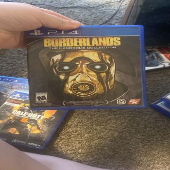 Boarderlands PS4 game 