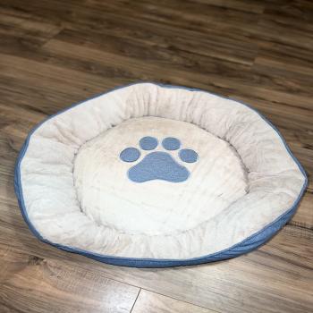 cat bed 