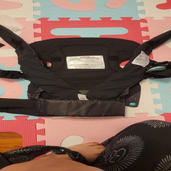 Kangaroo pouch with adjust straps