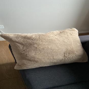 Fuzzy Brown Pillow (50x50 cm)