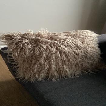 Fuzzy Brown Pillow (40x40 cm)