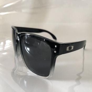 Oakley Holbrook sunglasses 