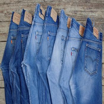 Mens levis