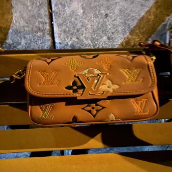 Louis Vuitton bag