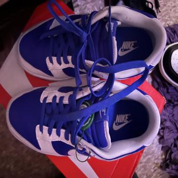 Nike dunks