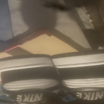 panda Dunks
