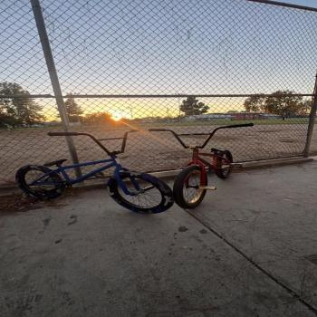 BMX ELITE 2022 