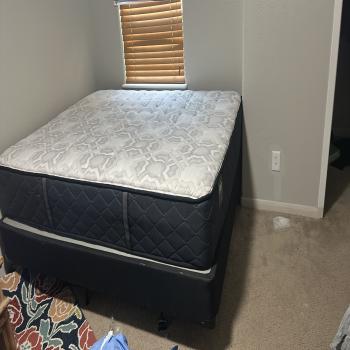 queen size bed and box spring