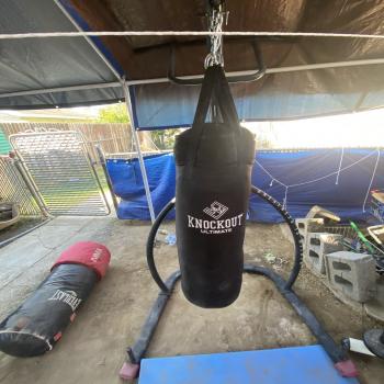 boxing bag with stand 150 