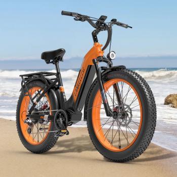 Electric Bikes for Sale 