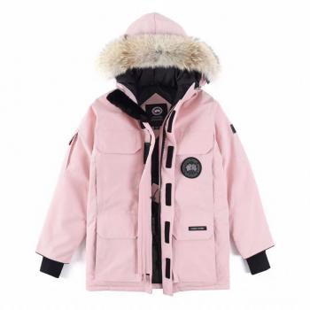 Canada goose 