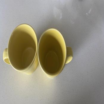 2 coffee mugs 