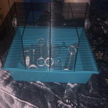 hamster cage 