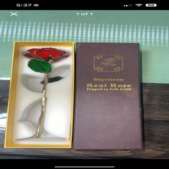 Real Rose 24K Gold