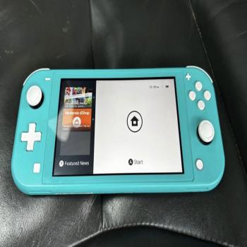 Nintendo switch Lite