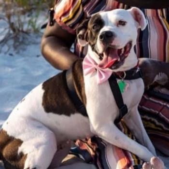 need to be rehome