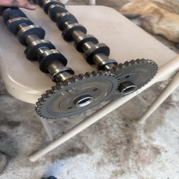 4.6 2valve mustang gt cams pi