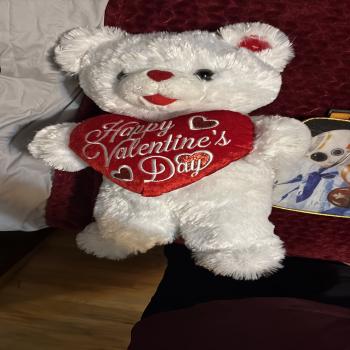 valentine bear