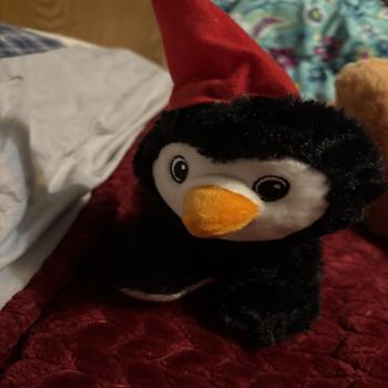 stuffy