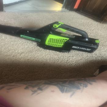 green works pro blower 