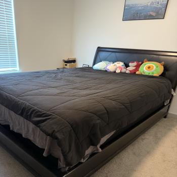 Queen Bed Frame & Night Stand 