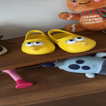 Big Bird Clogs