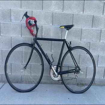 Trek 1200 Road Bike