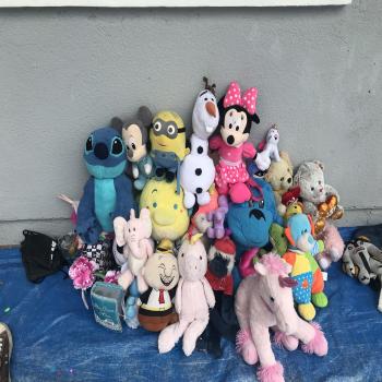 stuffed animals 