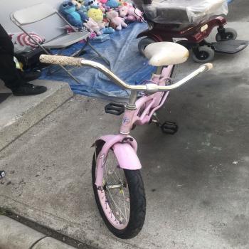 bikes 