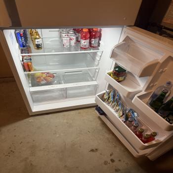 Insignia Fridge