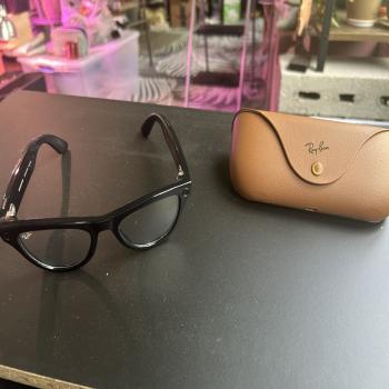 Ray-Ban Meta Skylers