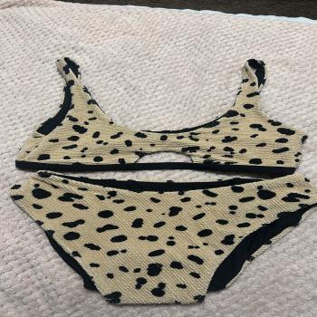 Cheetah Print Bikini Set