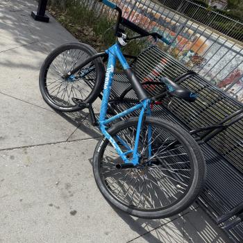throne cookies bike size 29 