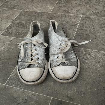 trainers