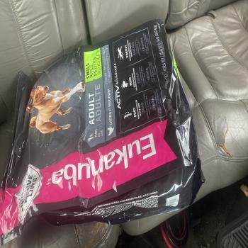 dog food 