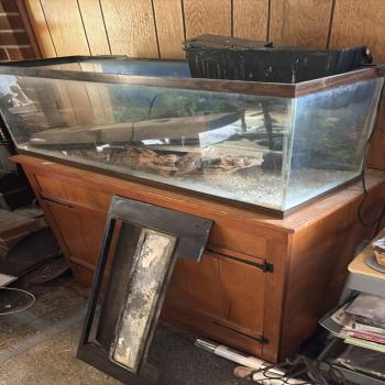 fish tank 