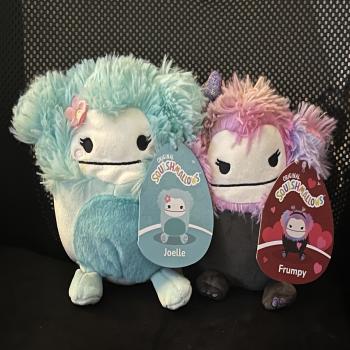 (2) 5” Squishmallows