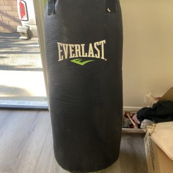 punching bag 