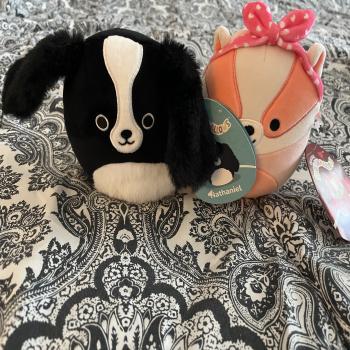 (2) 5” squishmallows