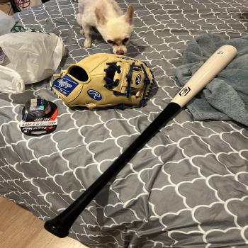 baseball gear 