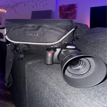 Nikon D3100 ( Camera )