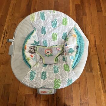 Baby Bouncer