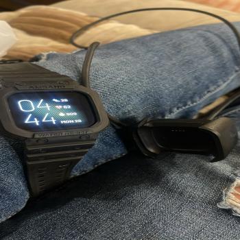 Fitbit versa two