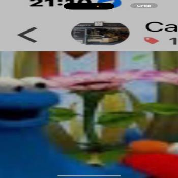 Sesame Street once upon a mons